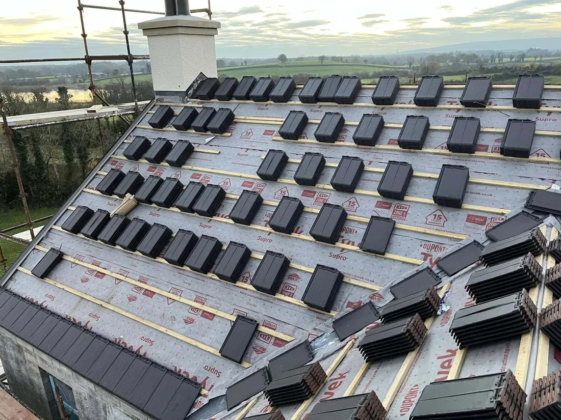 Multiple Velux roof windows installed across a slate roof